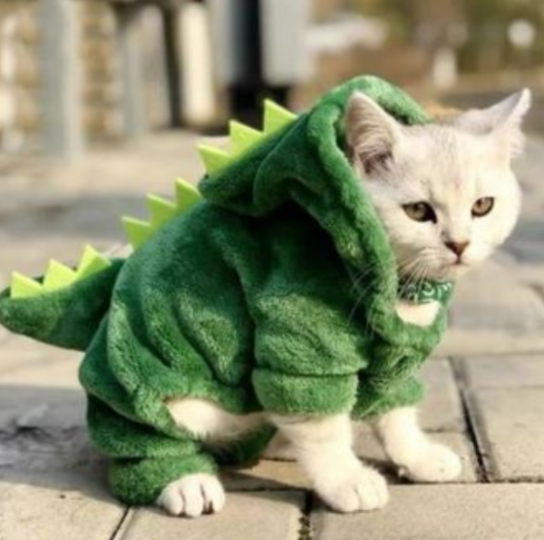 Baju kucing dengan motif pemandangan alam